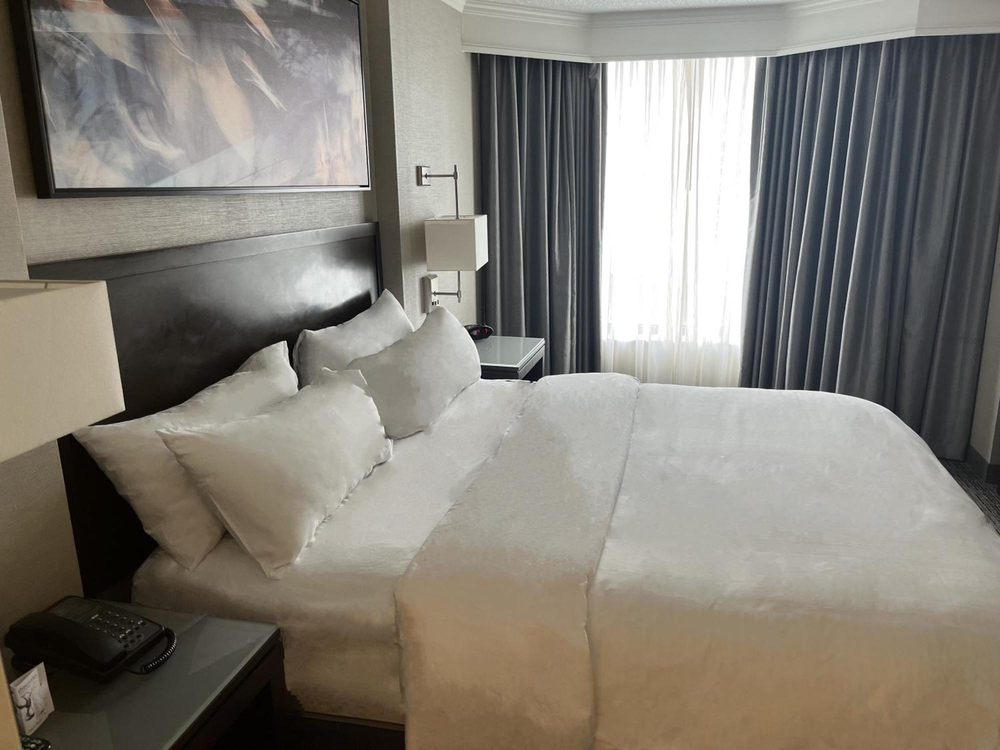 Chicago Marriott Suites O'Hare Розмонт Экстерьер фото